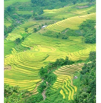 Vẻ kỳ thú “nơi con sông Hồng chảy vào đất Việt”