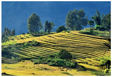 Sao xanh giữa vùng BL555 Nhà Cái Thể Thao | Casino | Nổ Hũ | Đá Gà Uy Tín