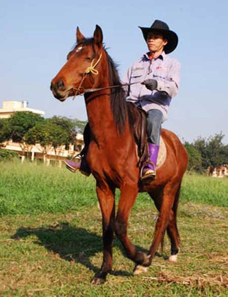 Những nòi ngựa nổi tiếng trên thế giới