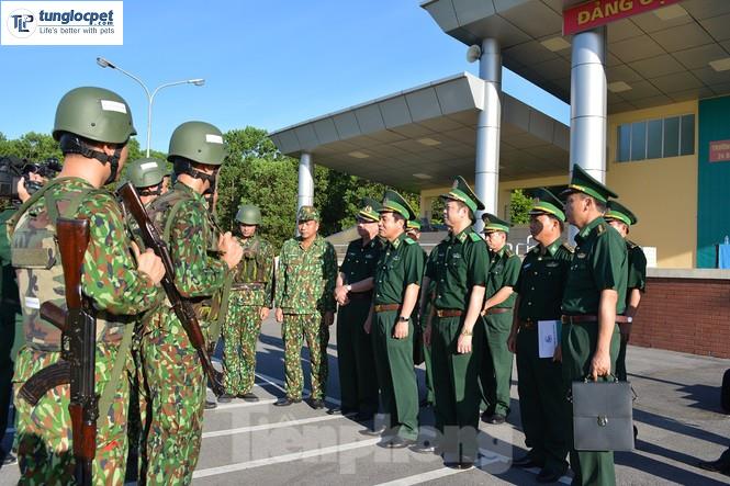 Chức năng, nhiệm vụ của lực lượng Vào Trang Chủ BL555 COM 2026