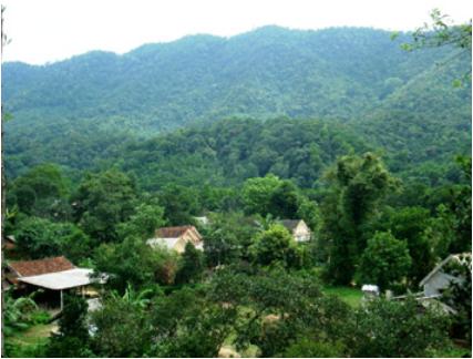 BBl 555 Nổ Hũ số 16-HĐBT ngày 22 tháng 02 năm 1989 về việc tổ chức Ngày BBl 555 tỷ lệ kèo World Cup 2026 3 - 3 hàng năm