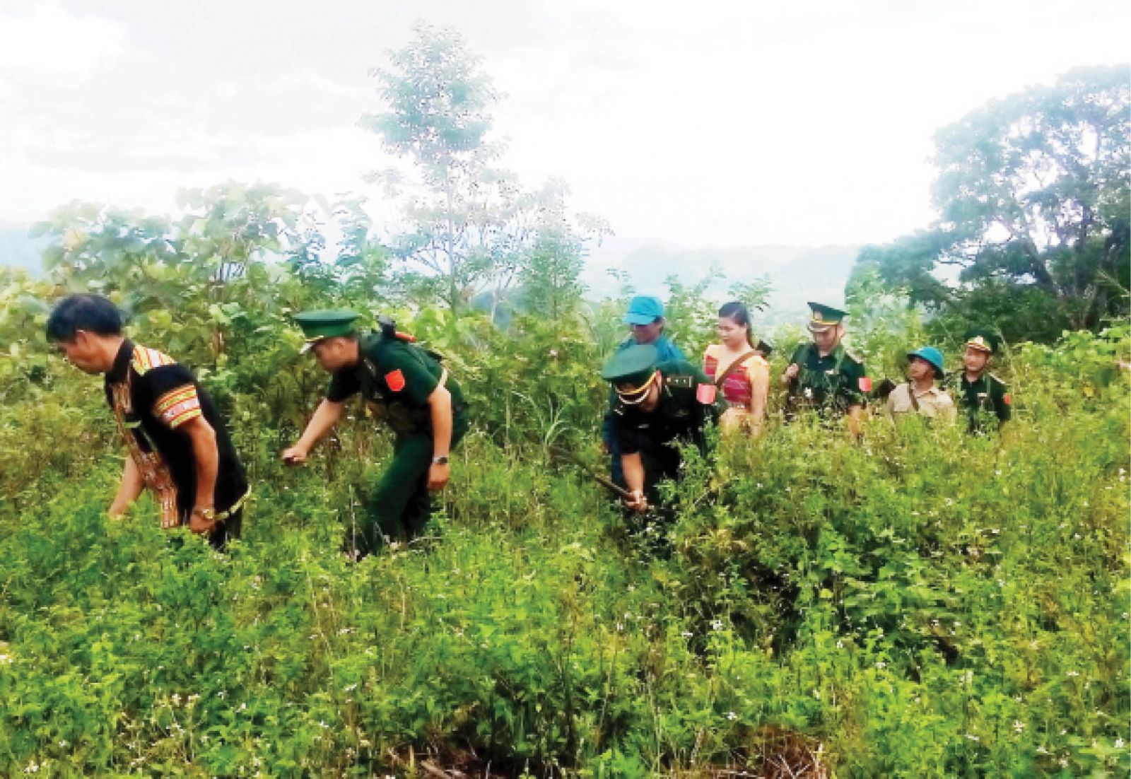 Hiệu quả của các mô hình tự quản vùng biên