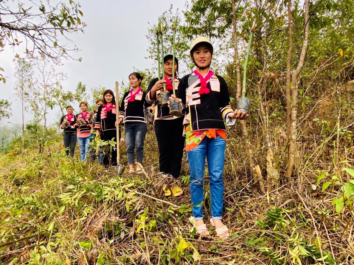 “Lũy tre biên thùy” bảo vệ biên cương